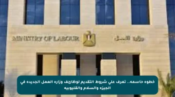 خطوة حاسمة.. تعرف على شروط التقديم لوظائف وزارة العمل الجديدة في الجيزة والسلام والقليوبية